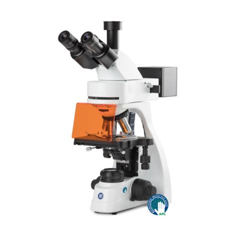 microscopio de fluorescencia  internacional bol ltda