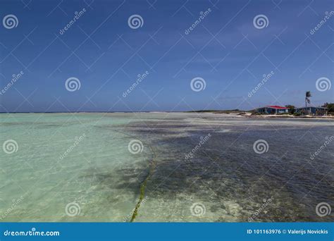 Bonaire Wyspy Morze Karaibskie Windsurf Laguna Sorobon Zdj Cie Stock