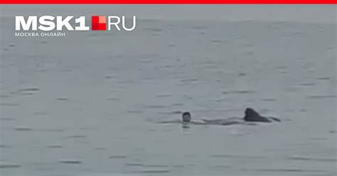 ЧП в Египте: российский турист из Балашихи Владимир Попов погиб после ...