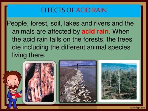 Causes of Acid Rain and Its Effects