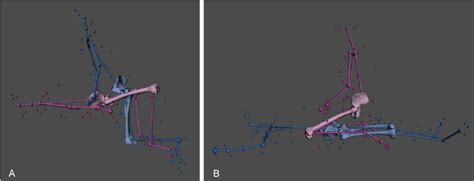 Example Of Computed Sexual Positions Showing The Markers Small