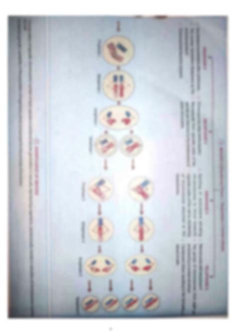 Solution Cell Cycle And Cell Division Ncert Maps Studypool