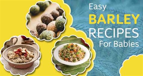 Easy Barley Recipes For Babies