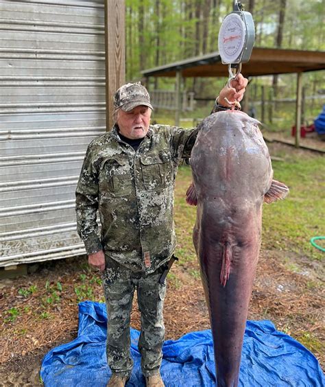 These Giant Mississippi State Record Catfish Weigh Over Pounds But