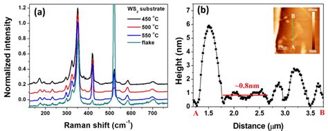 A Raman Spectra Of 2D WS2 Nanosheets Substrates And Monolayer WS2