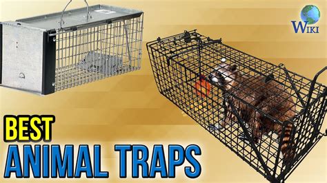 8 Best Animal Traps 2017 Youtube