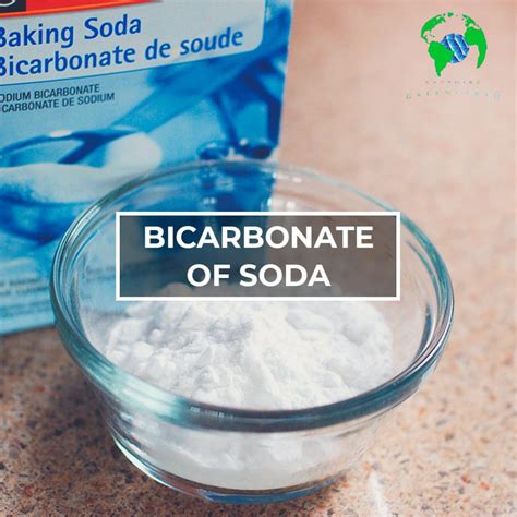 Uses of Bicarbonate of Soda around your Home | Sapphire Green Earth