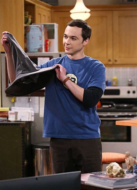 The Big Bang Theory ‘the Relationship Diremption Review The Daily Fandom