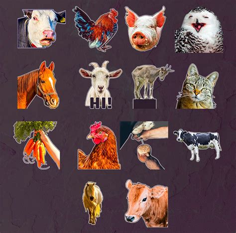 Farm Life Emote Collection 14 Cute Creatures For Homesteaders And