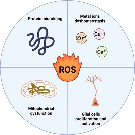 Frontiers Deconvoluting The Complexity Of Reactive Oxygen Species