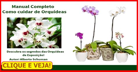 Manual Completo Como Cuidar de OrquídeasA Verdade Revelada