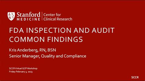 Fda Inspection And Audit Common Findings Youtube