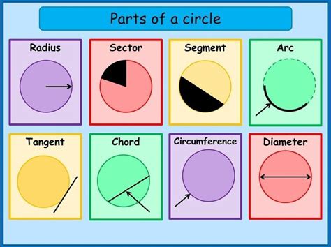 Parts Of A Circle