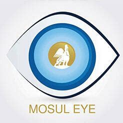 What lies behind Mosul Eye - Mid-East Junction