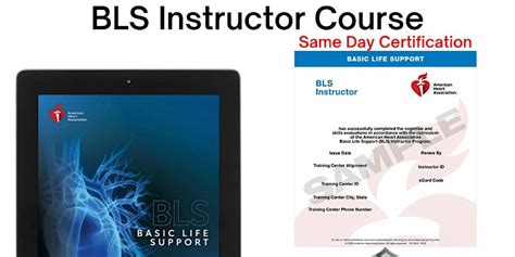 Aha Bls Provider Instructor Course With All Aha Materials Instructor