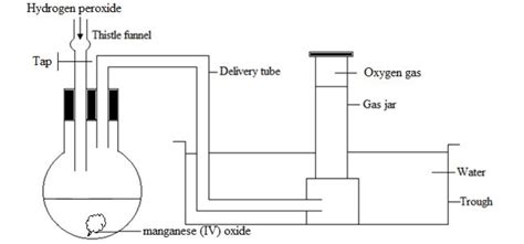 Oxygen Tutorial - Chemistry Revision