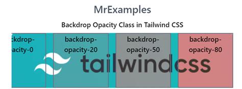 Tailwind Backdrop Opacity Quick Guide And Examples