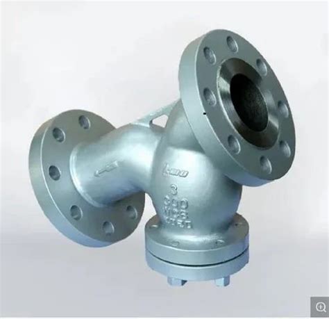 Ci Y Type Strainer At Rs 4000 SS Y Strainer In New Delhi ID