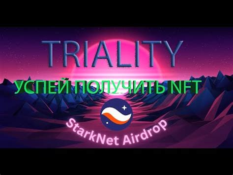 Получаем NFT за обучение TRIALITY Тестнеты на сети StarkNet