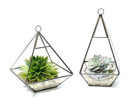 Succulent Terrarium In A Diamond Shaped Geometric Glass Vase