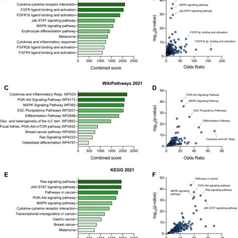 Pathway Enrichment And Gene Ontology Go Analysis Pathway Enrichment