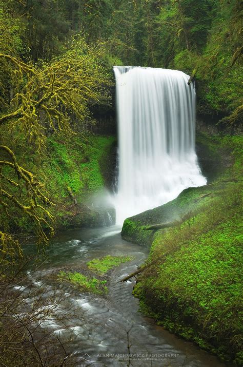 Middle North Falls, Silver Falls State Park, Oregon - Alan Majchrowicz Photography