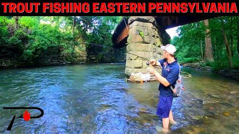 Trout Fishing Eastern Pennsylvania Youtube