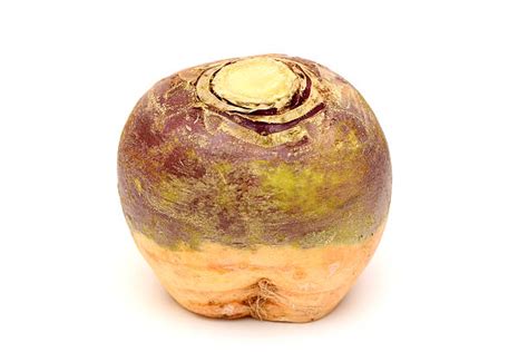 Rutabaga Pics Stock Photos, Pictures & Royalty-Free Images - iStock