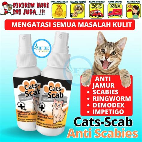 Jual Obat Jamur Kucing Scabies Demodex Impetigo Jamur Kutu Parasit