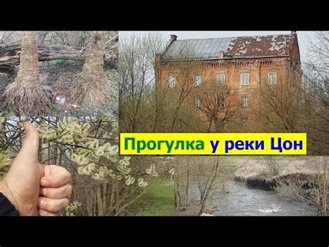 240408 Знаменка мельница Бакина 1892 река Цон автомобильный мост старый ...