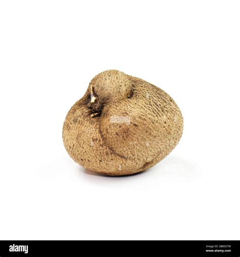 Dioscorea Mun Neb Thai Word Fresh Dioscorea Tuck Dioscorea Slats
