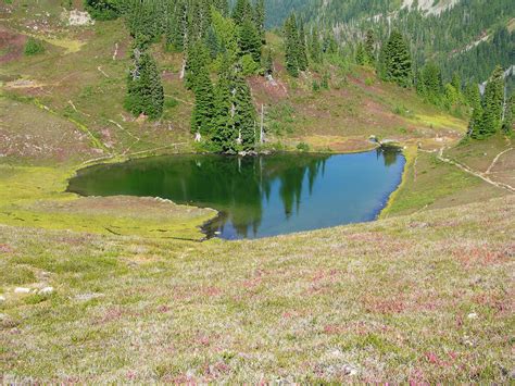 46 Diverse Views Of Olympic National Park Infinite World Wonders