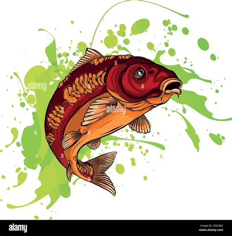 Carp Fish Vector Illustration.Common Carp Illustration. Isolated on ...