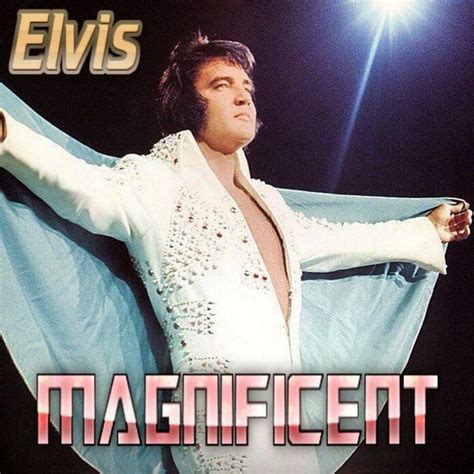 Dj Ethan Magnificent Cd Elvis New Dvd And Cds Elvis Presley Ftd