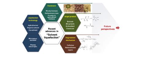 Overview Of The Recent Advances In Lignocellulose Liquefaction For