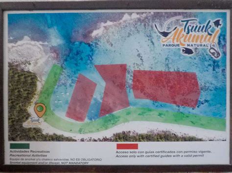 Akumal Snorkeling Tour: Ultimate Guide for 2024