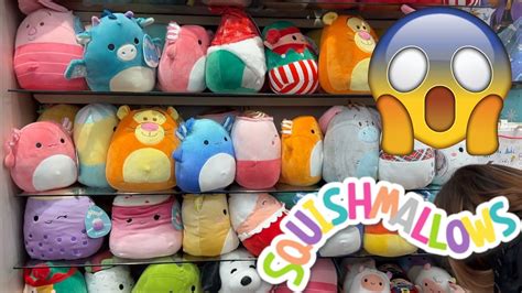 Mega Squishmallow Hunt Haul At Hallmark Youtube