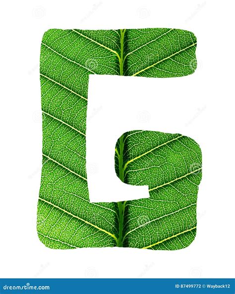 Green Leaf Texture Alphabet Stock Photo Image Of Font Alphabet