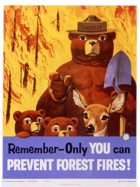 Smokey Bears 70th Birthday Photos Abc News