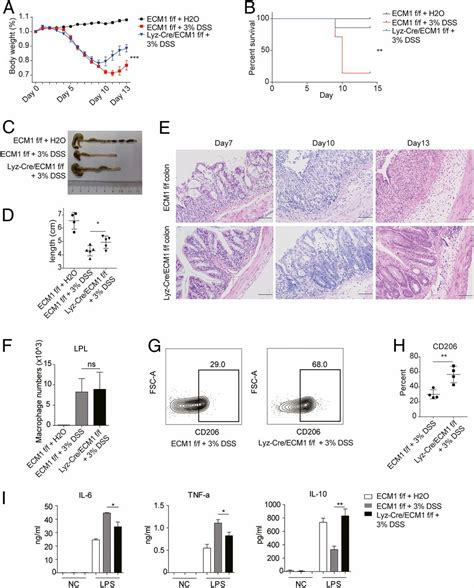 ECM1 Is An Essential Factor For The Determination Of M1 Macrophage