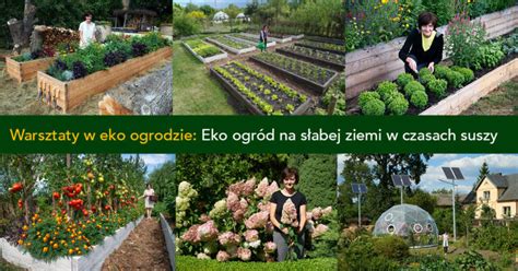 Anielskie Ogrody Ekologia Permakultura I Bio Warzywa