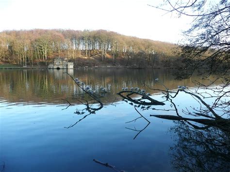 Gulls And The Boathouse Newmillerdam © Humphrey Bolton Cc By Sa 2 0