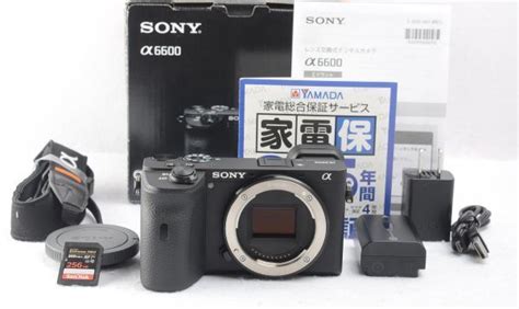 目立った傷や汚れなし 極上美品 S数1986回 ソニー SONY α6600 ボディ ILCE 6600 付属品元箱おまけ付き