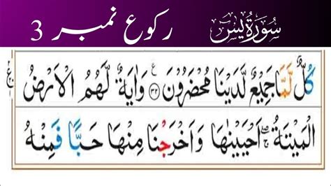 Surah Yaseen Ruku Surah Yasin Ayat Surah Yaseen Ruku Number