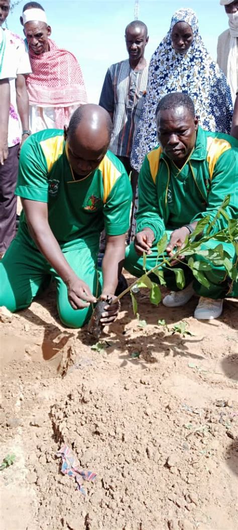 Journée nationale de larbre 10 000 plants mis en terre à Dori AIB