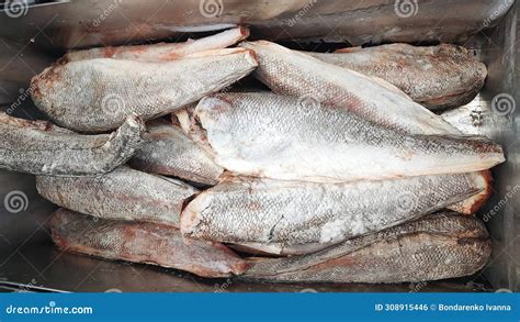 Frozen Hake Fish In A Market Fridge Stock Photo Image Of Agriculture