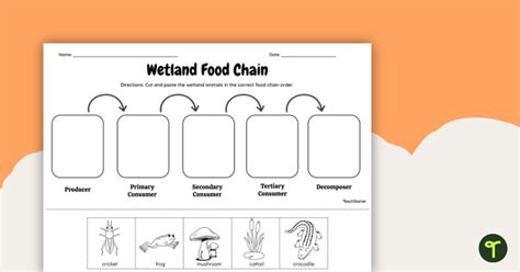 Wetlands Food Chain Cut And Paste Worksheet Teach Starter