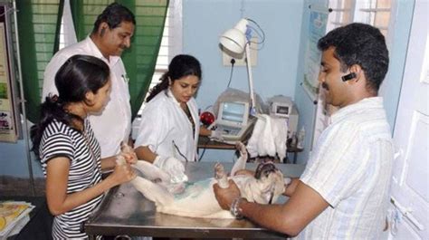 Tata Trust Will Build Veterinary Hospital At Bmc Mahalaxmi Land