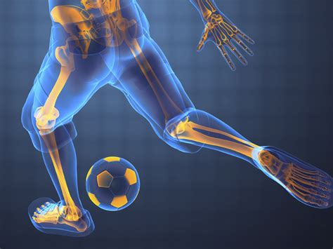 Orthopedic Sports Medicine Professionals What You Can Expect From Them