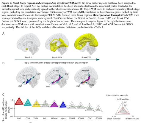 Neurology：阿尔茨海默病中与tau沉积相关的白质变性途径 Medscicn